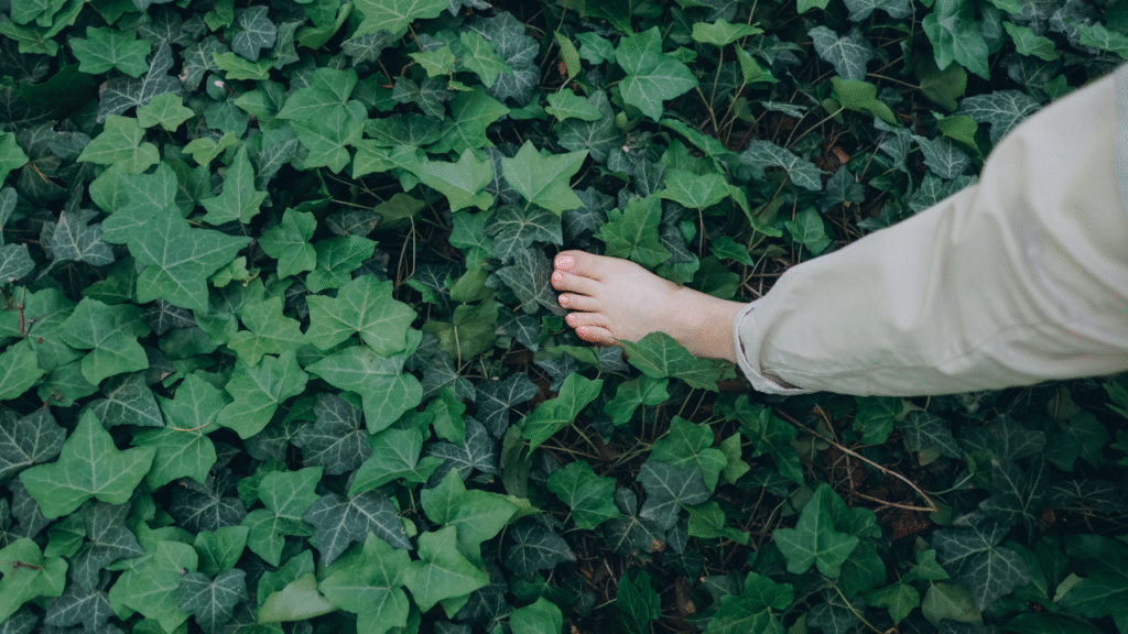 Guías Grounding y Barefoot