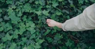 Guías Grounding y Barefoot