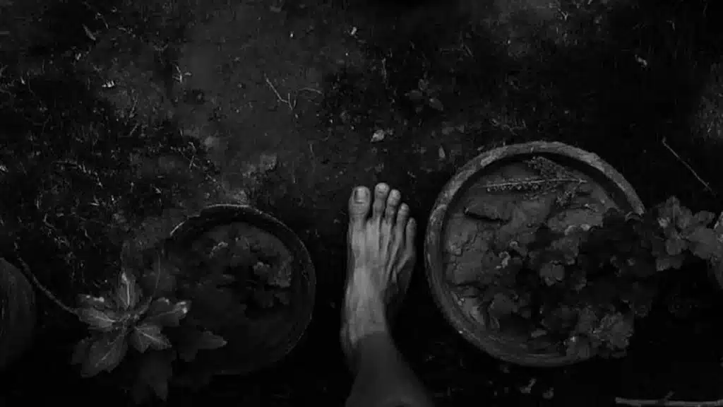 pie descalzo en la naturaleza