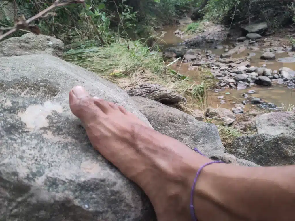 pies naturaleza grounding